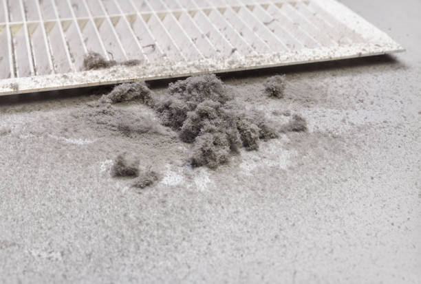 Best Affordable HVAC Duct Cleaning  in Clarkston, GA